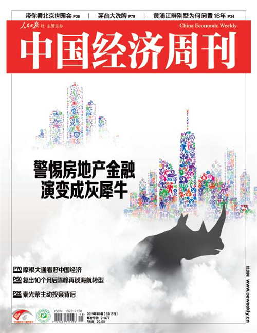 警惕房地产金融演变成灰犀牛