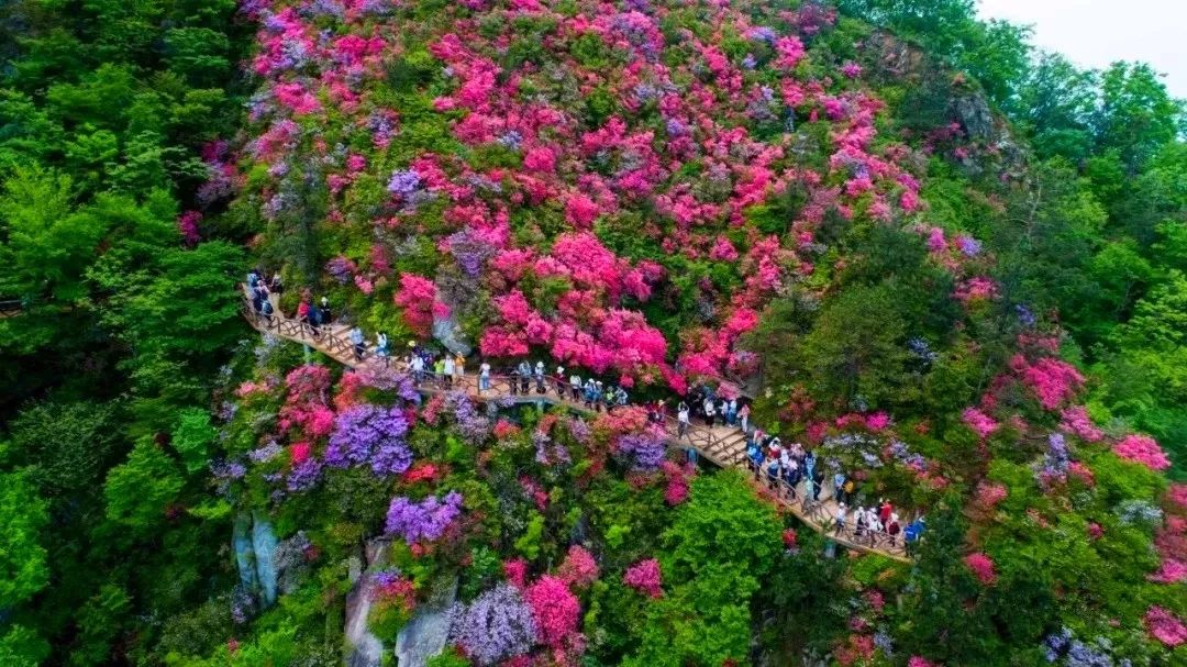 2019年“五·一”湖北省文化和旅游假日市场情况综述