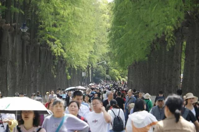 2019年“五·一”湖北省文化和旅游假日市场情况综述