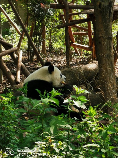 图片6.jpg