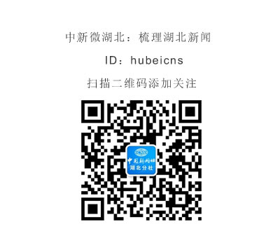 荆门二医开展党员干部廉政教育专题培训