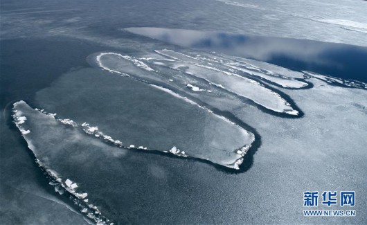 春临青海湖