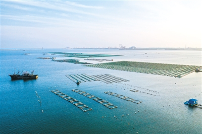 “海上粮仓”风景如画