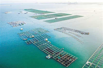 “海上粮仓”风景如画