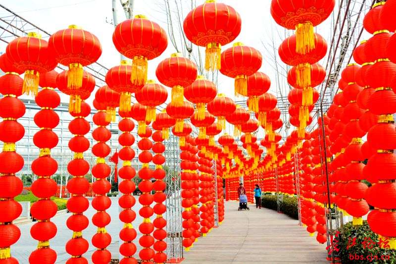 靓丽的风景，喜庆的年味