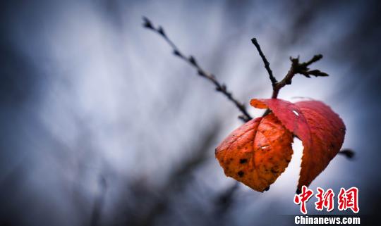 江西南昌凤凰沟冬日风景美如画