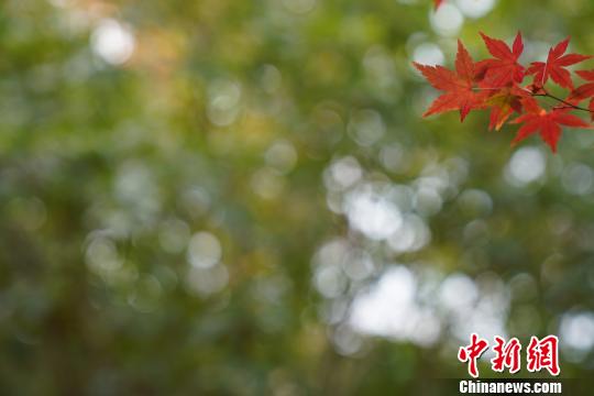 江西南昌凤凰沟冬日风景美如画