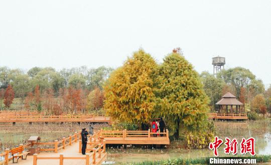 江西南昌凤凰沟冬日风景美如画