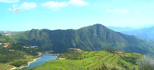 厦门花样游记：领略同安山林美景 感受千年文化