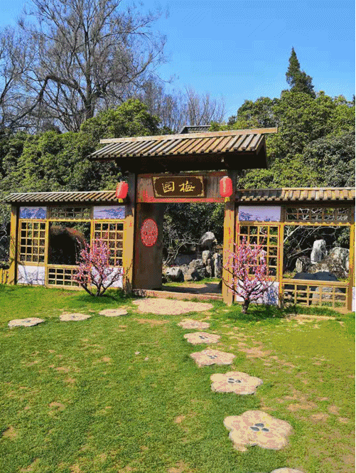 慈海集团员工春游记