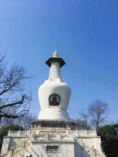 慈海集团员工春游记