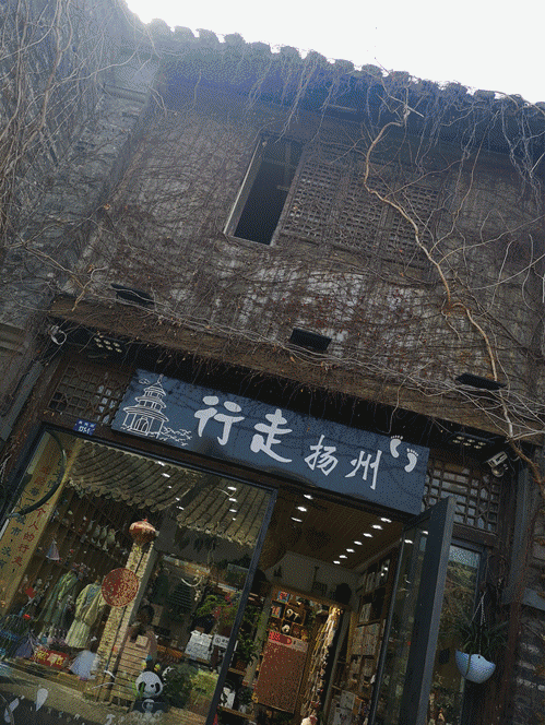 慈海集团员工春游记