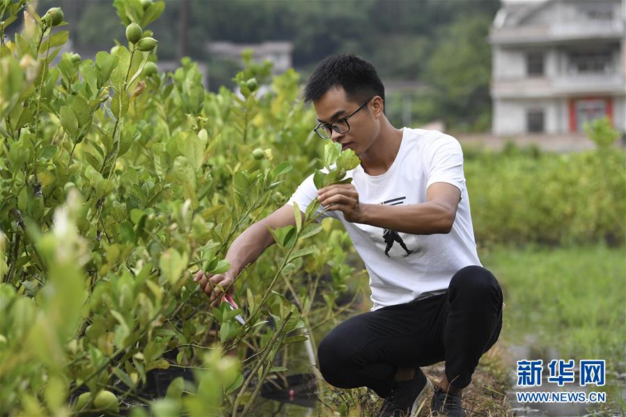 留学生就业市场四处碰壁 出国留学并非人人适合