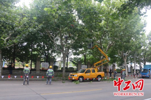 【中国梦·大国工匠篇】“城市理发师”杨飞飞：为了那5万棵行道树的风景