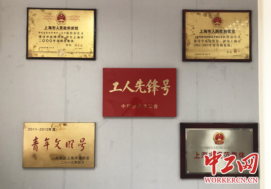 “城市理发师”杨飞飞：为了那5万棵行道树的风景