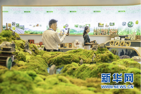 浙江丽水“抢滩”展现好风光好产品