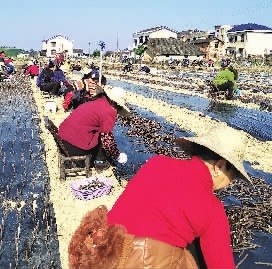 书写高质量脱贫的长沙答卷