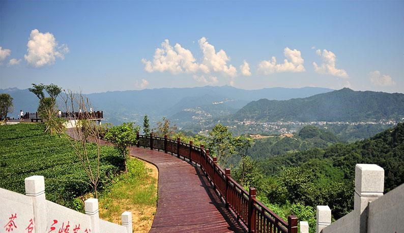 三峡茶乡“卖风景”  茶旅融合“提颜值”