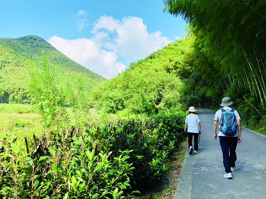 点击显示下页 镇海游步道 休闲新风景