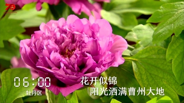 一天24小时，菏泽在发生什么……