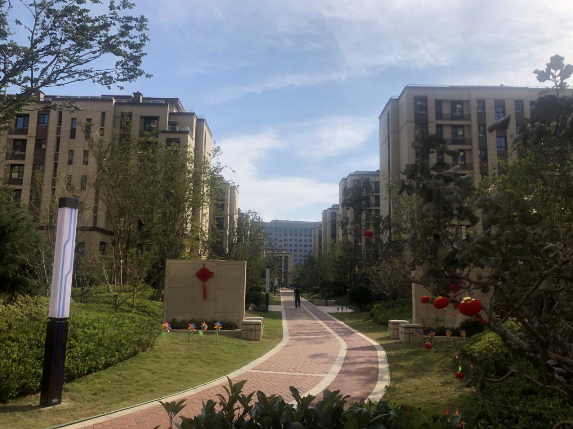 图片13