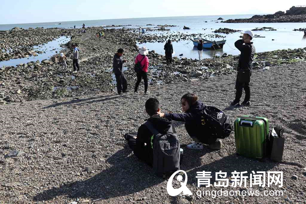 青岛最美海岸线山海天风景醉人！钓鱼赶海，适