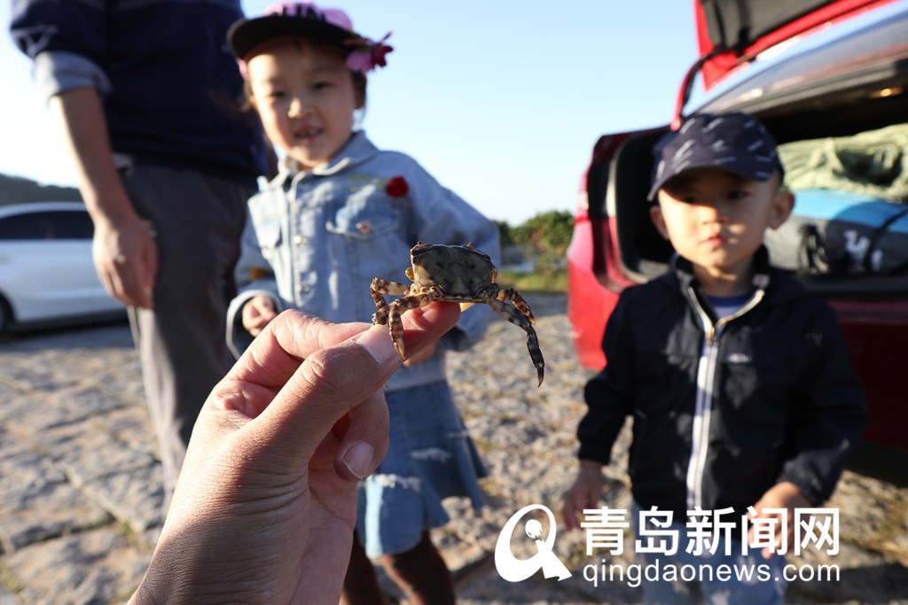 青岛最美海岸线山海天风景醉人！钓鱼赶海，适