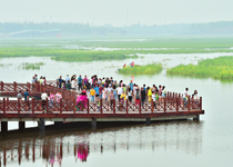 龍城“水鄉”醉游人太原市晉陽湖公園內，許多慕名前來的游人被水岸一色的唯美景色所吸引。【詳細】