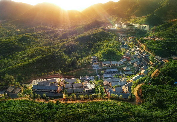 踏春，这边风景独好！