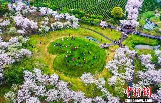 走！坐上这趟高铁，不仅能欣赏风景，还能看到