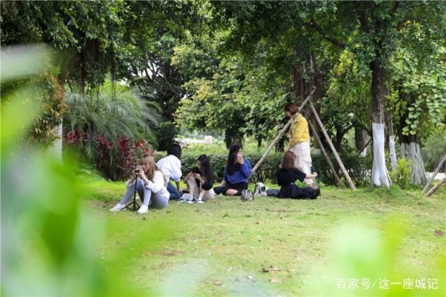 游记： 没想到海珠湖，居然这么好看！