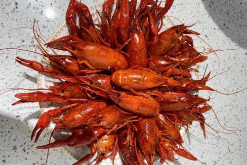 集成灶十大品牌金帝集成灶：湖北潜江站，美食