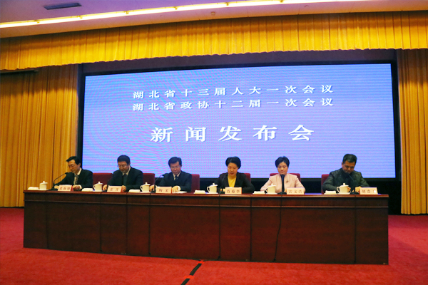 湖北举行保障和改善民生举措成效新闻发布会