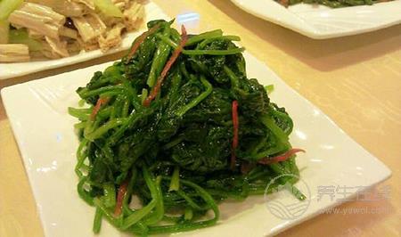 推荐夏季六款舌尖美食 清热降火轻松瘦身