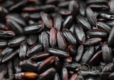 吃黑米不容易饿 揭秘最有效的黑米减肥方法