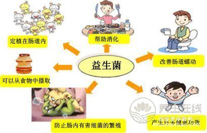 补充益生菌的好处！生活中7种食物富含益生菌