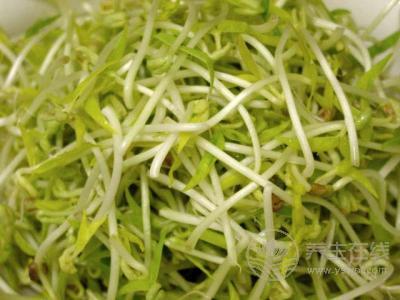 夏季减肥吃什么最有效 推荐15种高效燃脂食物