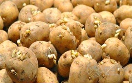 吃发芽的土豆会中毒  这10种食物含有毒素