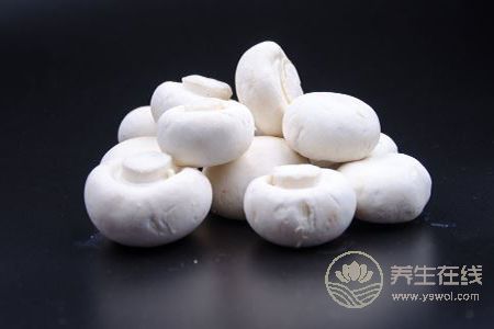 女人吃哪些蛋白质食物能减肥