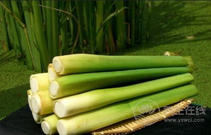 当心！！这7种蔬菜没煮熟似砒霜