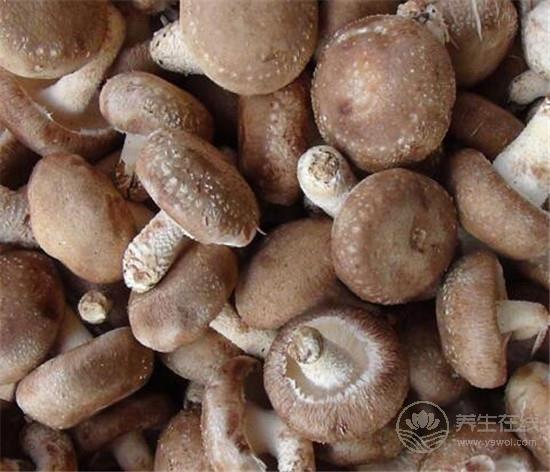 什么东西最养肝？4类不起眼的食材竟是肝脏守护神！