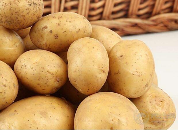 治疗便秘的4大食疗偏方，吃一次好一次