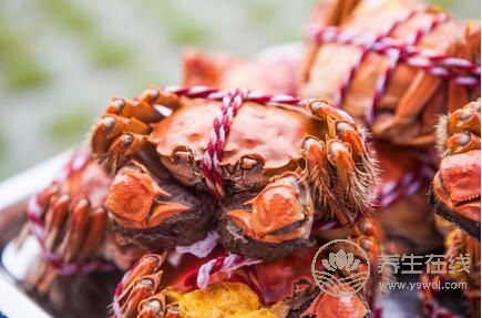 吃螃蟹的禁忌 螃蟹不能和什么一起吃 吃螃蟹的禁忌 螃蟹不能和什么一起吃