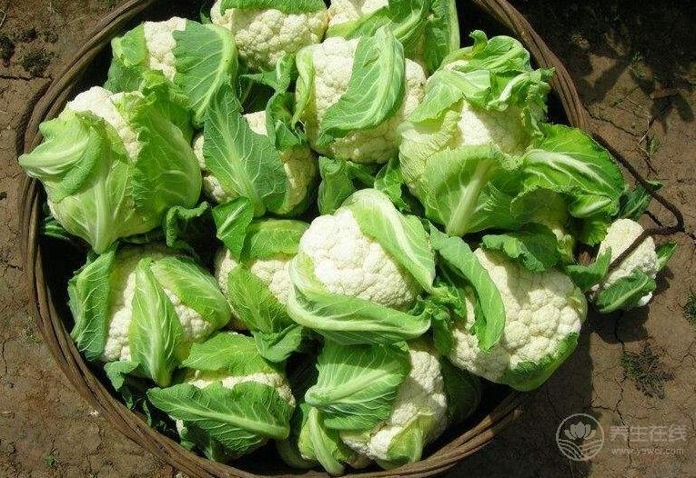 这7种食物对肺好，平常要多吃！