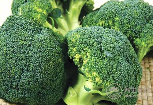 肝好的人，睡觉会有这些表现！养肝，这些食物要记住